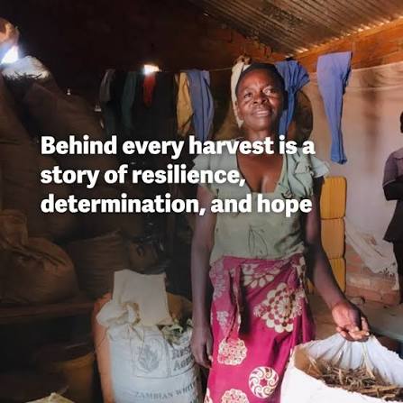 RISE AGAIN: THE FARMERâ€™S JOURNEY OF RESILIENCE